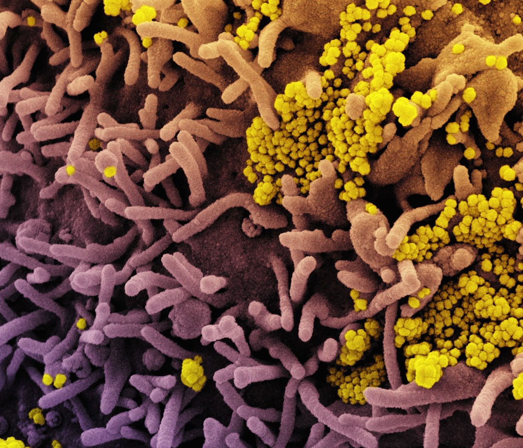 Rising Temperatures Fueling Antibiotic Resistance in Soil, 11-Year Study Warns