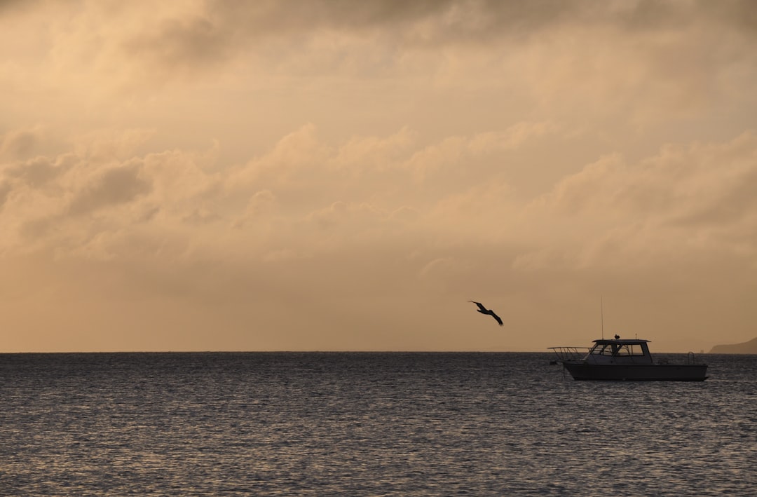 US Military Kills 11 in Strikes on Alleged Drug Boats, Escalating Counter-Narcotics Operations