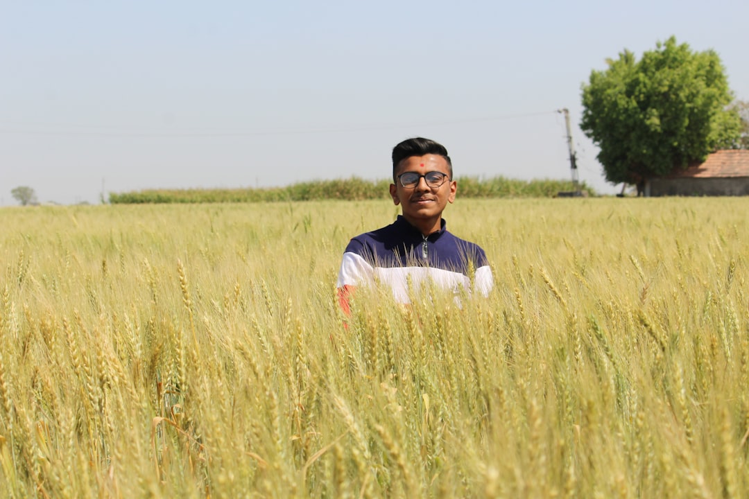 Early Heat Wave Threatens India's Wheat Crop as Temperatures Soar 7.5°C Above Normal