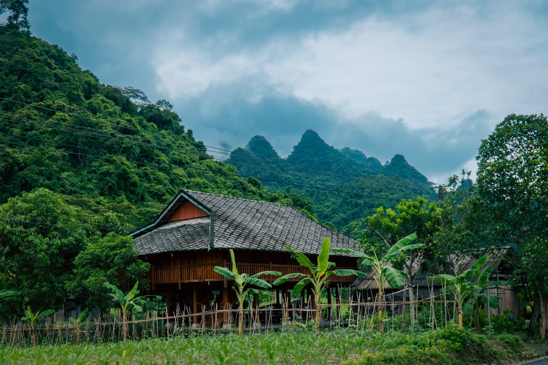 Vietnam's Nouveau Riche Build Tacky Mansions Inspired by St. Peter's Basilica