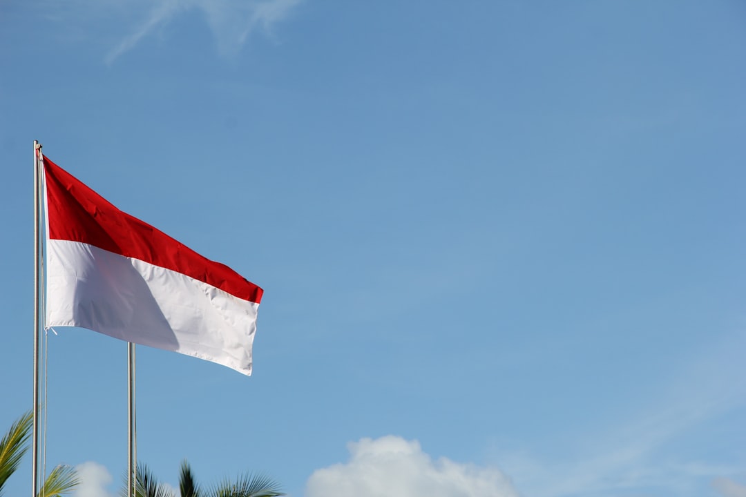 Indonesian Citizen Freed by Israel Returns Home via Turkey