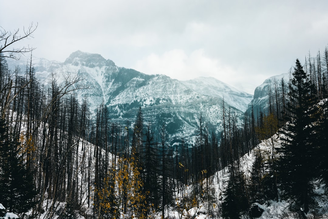 Wildfires Accelerate Snowmelt and Deplete Natural Water Reserves