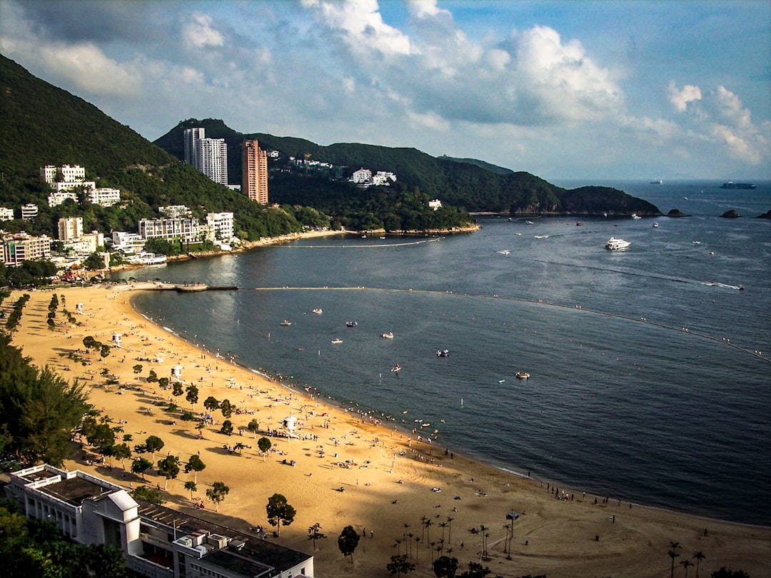 Golden Week Tourists Strip Sai Kung Waters of Sea Urchins, Sparking Ecological Concerns