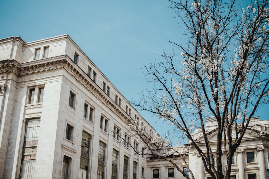 Federal Reserve Research Challenges Textbook Definition of Harmful Monopolies