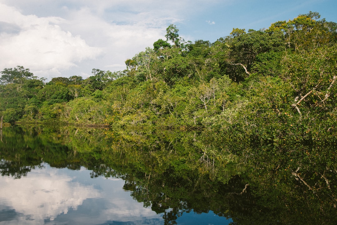 Brazil's Amazon Deforestation Drops to Six-Year Low Under Lula
