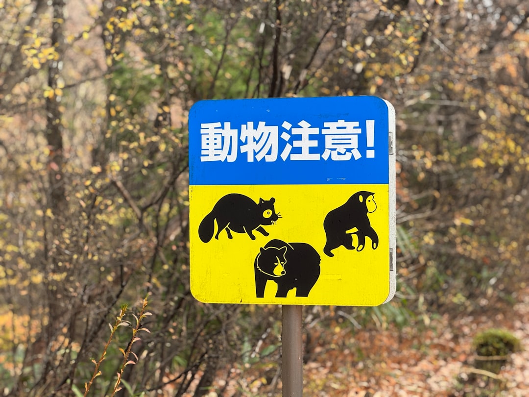 Climate Change Linked to Surge in Fatal Bear Attacks in Northern Japan