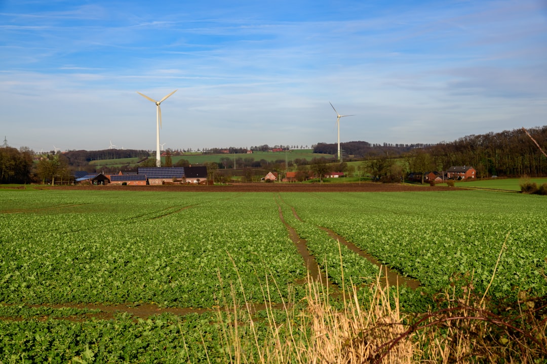 Wind and Solar Hit Record 17% of U.S. Electricity as Clean Energy Transition Accelerates