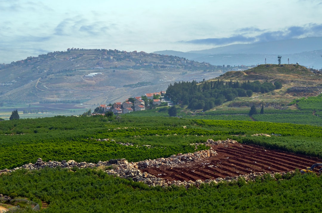 Israeli Incursion Devastates Southern Lebanon's Agricultural Heartland