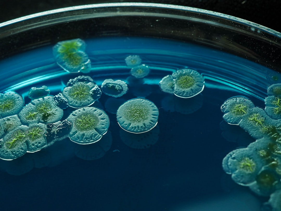 Climate Change Accelerating Antibiotic Resistance Through Environmental Pathways