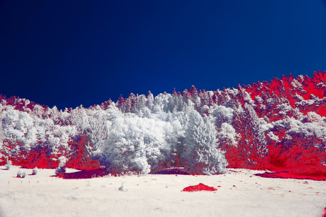 High Altitude Rewires Blood Sugar Metabolism—and May Protect Against Diabetes