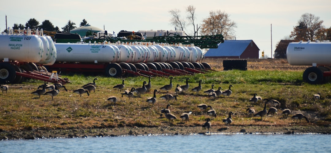 Russia Tightens Fertilizer Exports as Food Prices Face New Pressure
