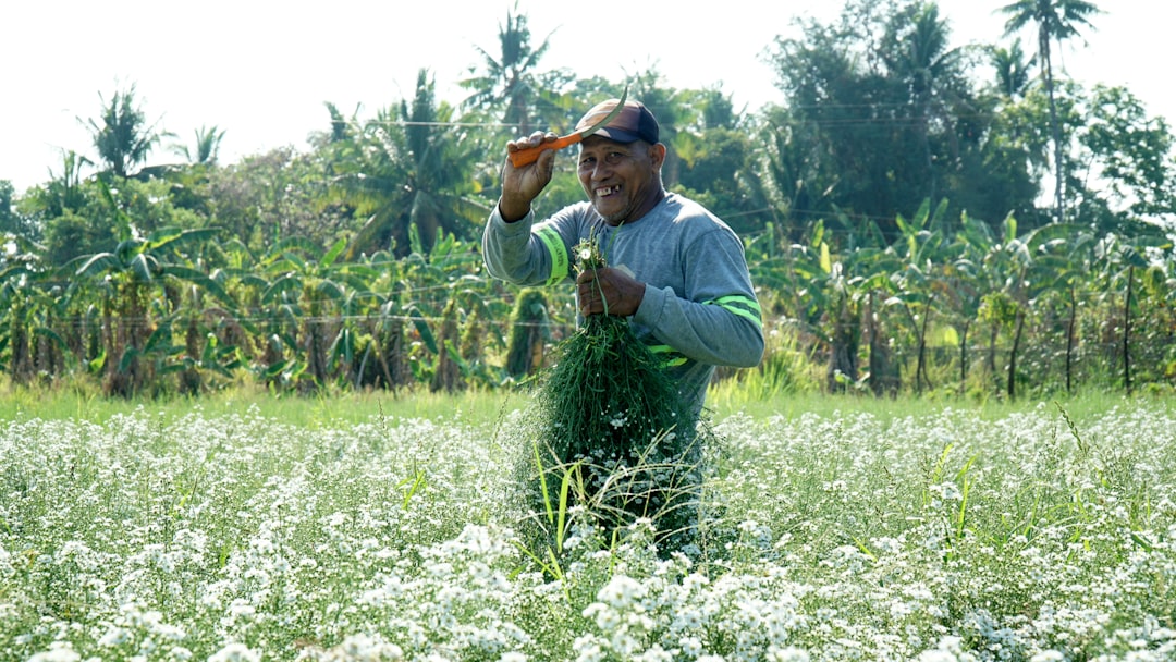 Philippine Farmers Left Unheard as Senate Cancels Agriculture Hearing Amid Political Turmoil
