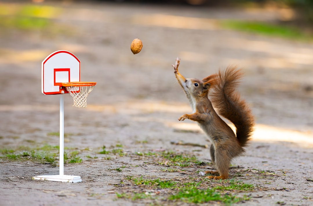 Jokic on Modern Basketball: 'It Would Be Stupid If It Wasn't Better Now'