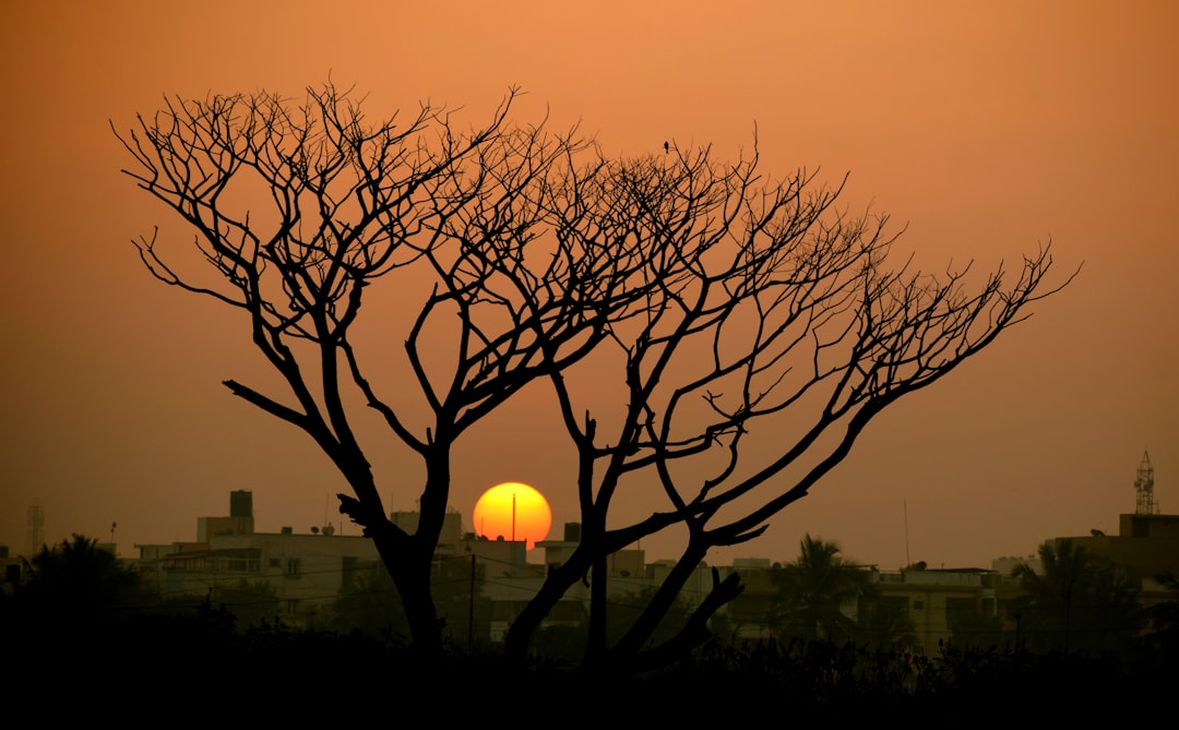 India Heatwave Claims 3,400 Lives in Single Day as Climate Crisis Reaches Deadly New Peak