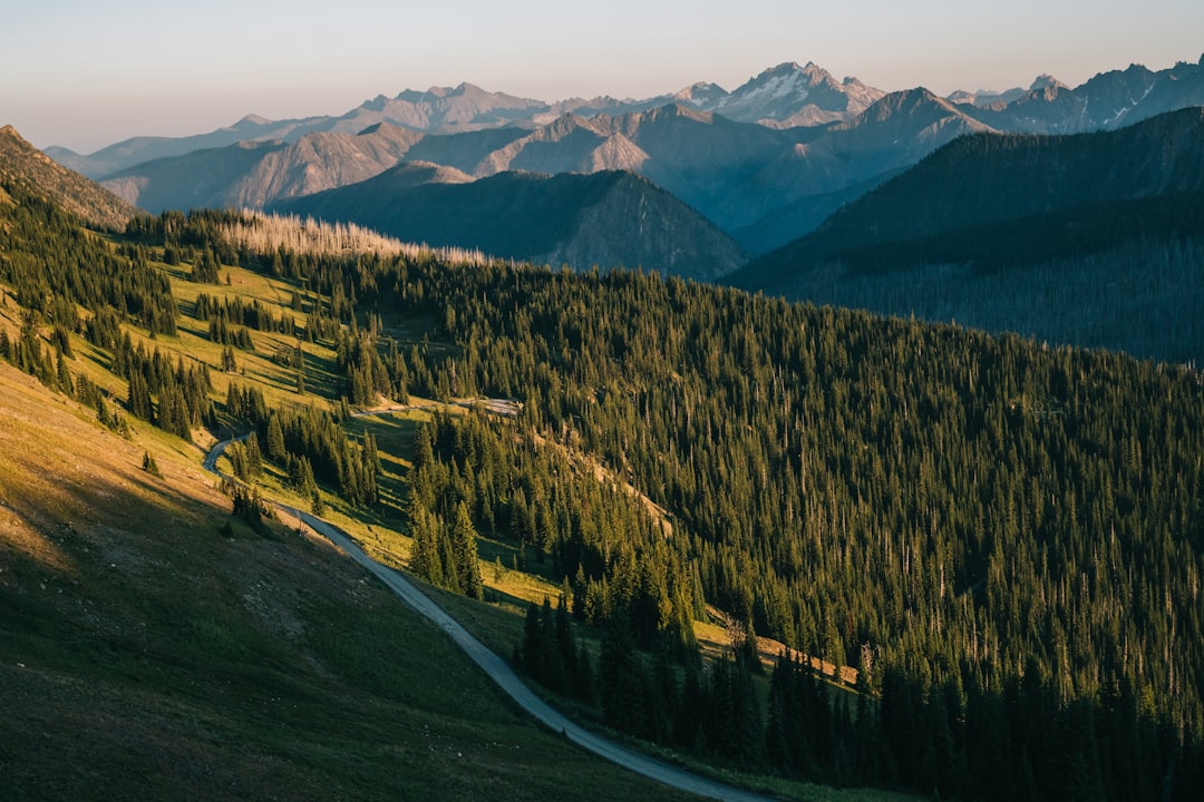 72 Miles Through Pisgah Forest: Why This Free North Carolina Trail Is Backpacking's Best-Kept Secret