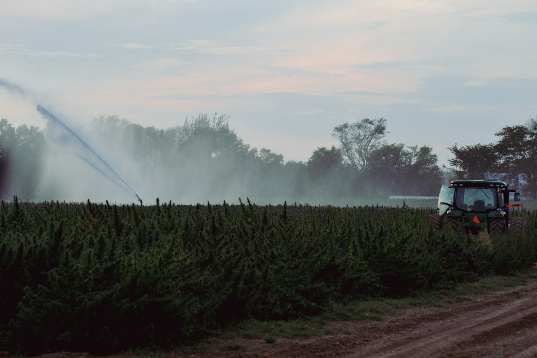 Hemp Plastic Survives Boiling Water - But Can It Survive the Market?