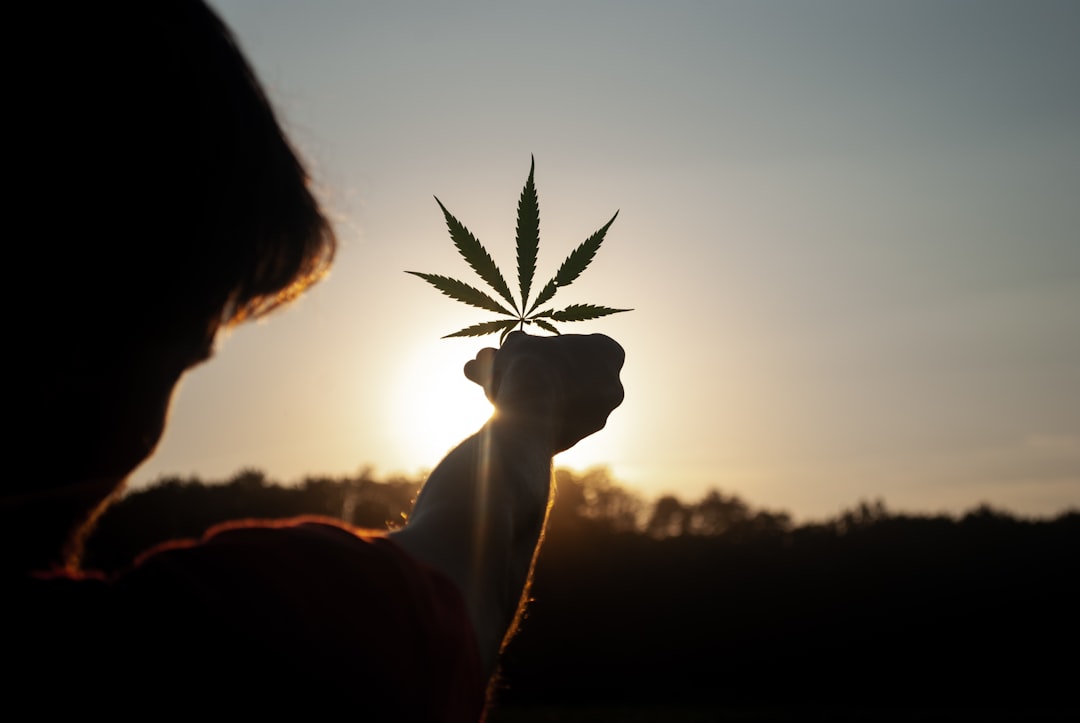 Teen Cannabis Use Linked to Psychosis, Anxiety, and Mood Disorders in Major Longitudinal Study