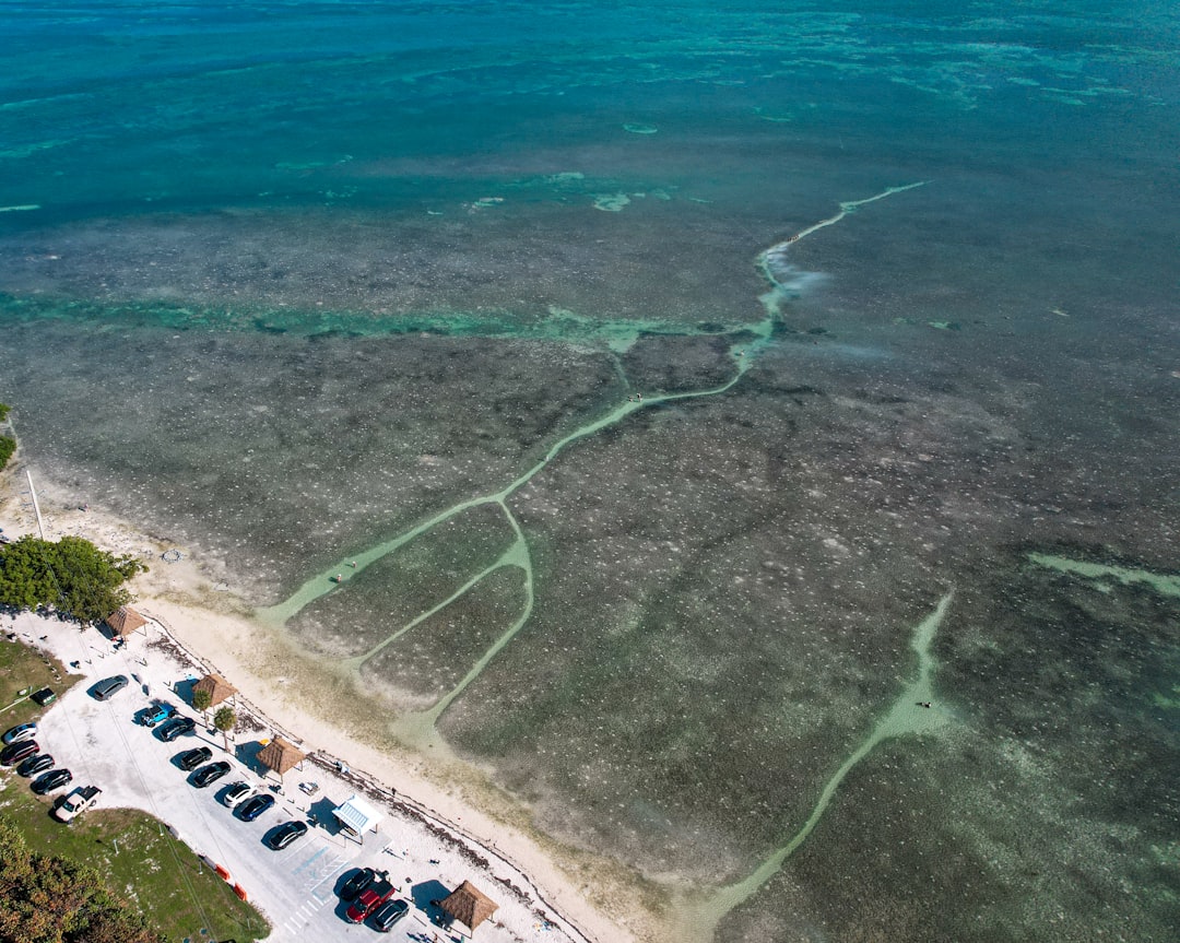 Florida Seawalls Redesigned to Revive Marine Life in 'Forgotten Edge'