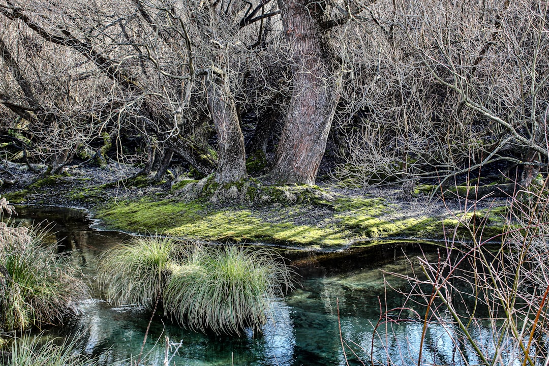 Queenstown Mayor Says Pumping Wastewater Into River 'Only Option'