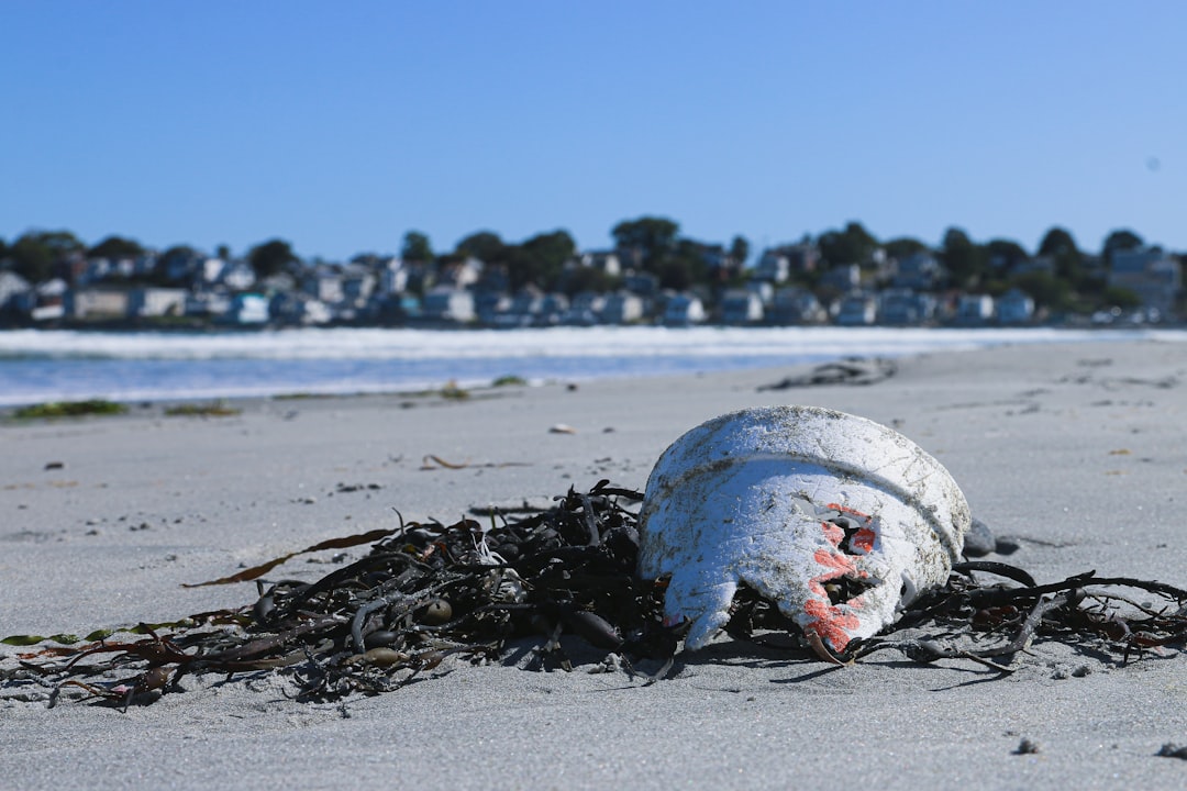 The Countries Where Travelers Say Littering is Out of Control