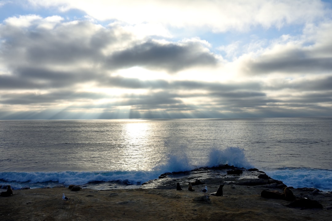 Record Ocean Heat Wave Off California Threatens Marine Ecosystems