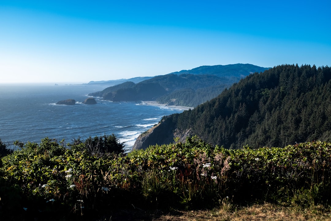 Oregon Coast Road Trip on a Budget: How Three Travelers Did 7 Days for $400 Each