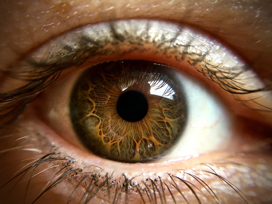 Did Our Ancestors Go Blind, Then Evolve Eyes From Scratch? A Bold New Hypothesis