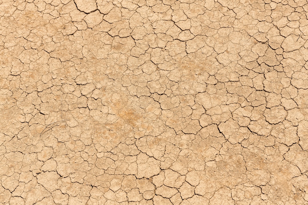 Every Degree of Warming Costs the World 20% of GDP, Groundbreaking Economic Analysis Shows