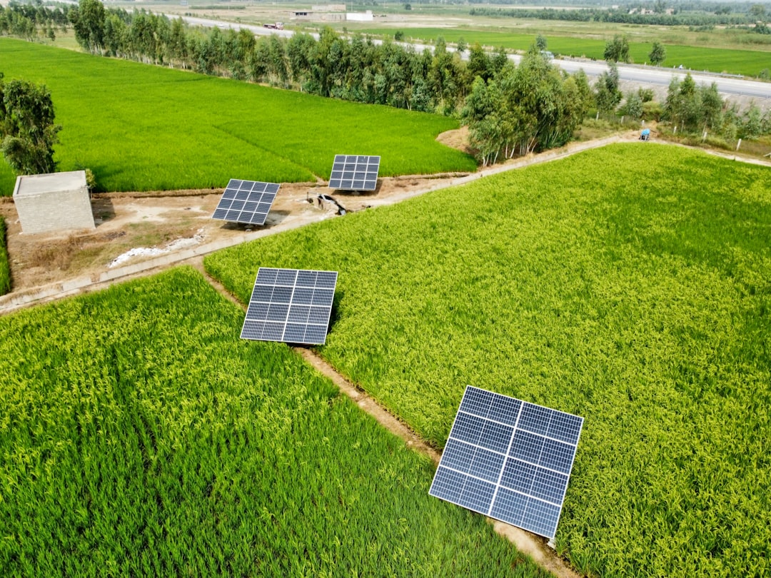 Solar Power Emerges as Major Energy Source for Pakistan Amid Electricity Crisis