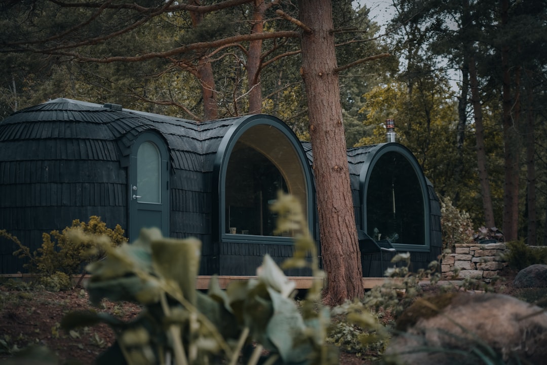 Sauna Sessions Give Your Immune System a Surprising Workout