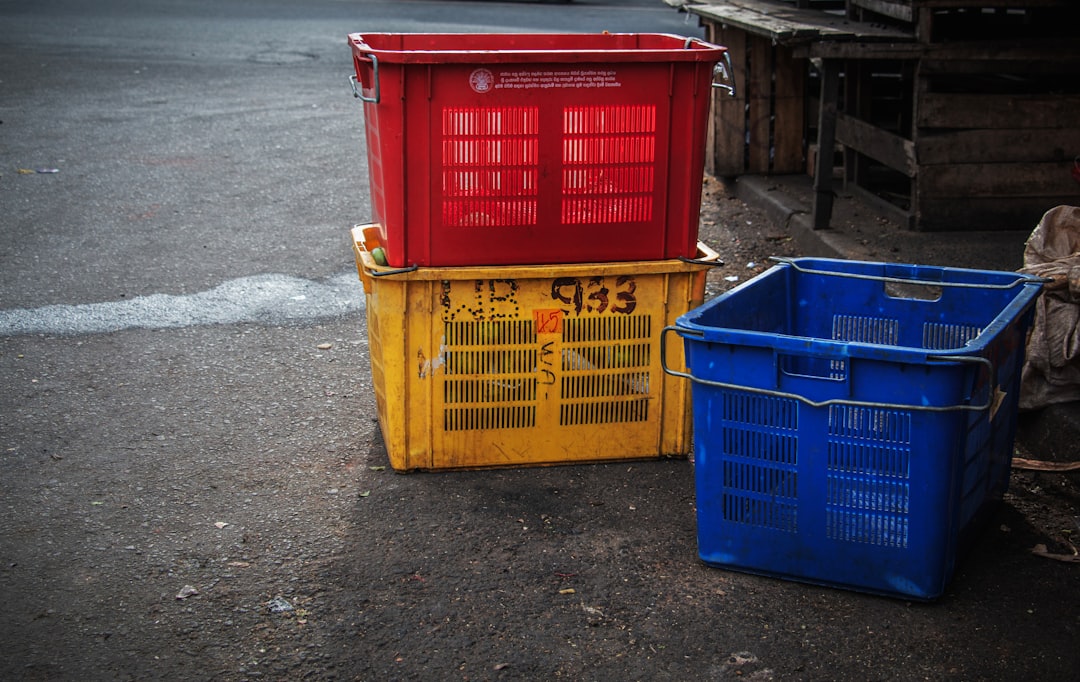 Sri Lanka After 4 Months: The Hidden Costs and Local Hacks Digital Nomads Need to Know