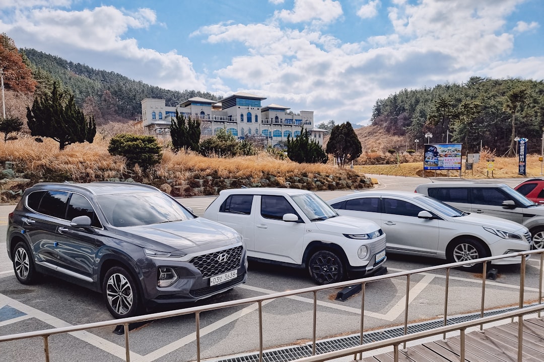 Chinese EVs Seize Third of Korean Market as Domestic Automakers Face New Competition