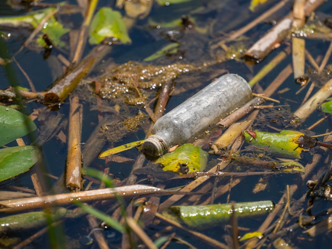Warming Rivers Release Greenhouse Gases, Creating Dangerous Climate Feedback Loop