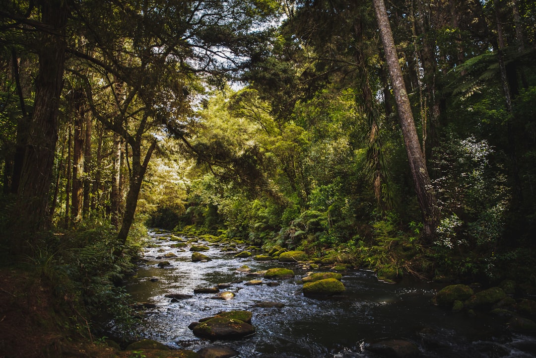 New Zealand Greens Push Bill to Ban Mining on Conservation Land