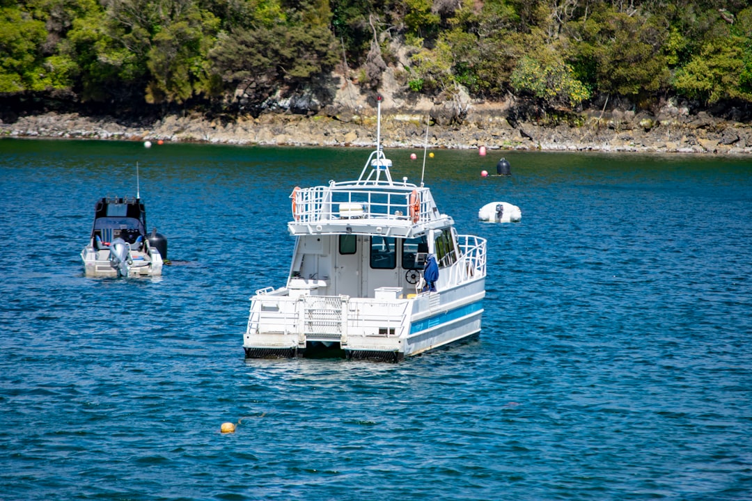Cook Strait Ferry Project Hit with Treasury Warning Over Delays and Cost Blowouts