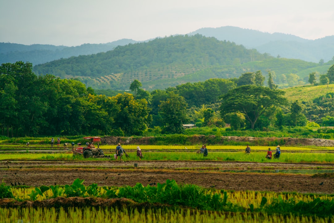 South Korea Blacklists Thai Workers from Four Northeastern Provinces Over Mass Desertions