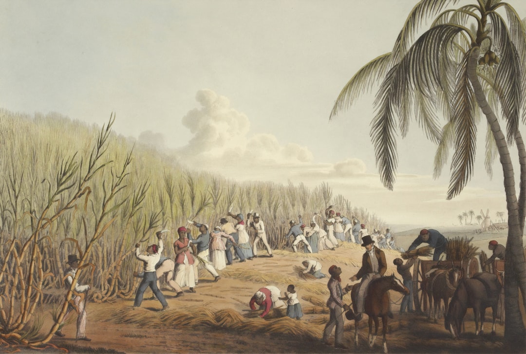 Caixa Bank Records Reveal 158 Accounts Opened by Enslaved Brazilians, Sparking Reparations Debate