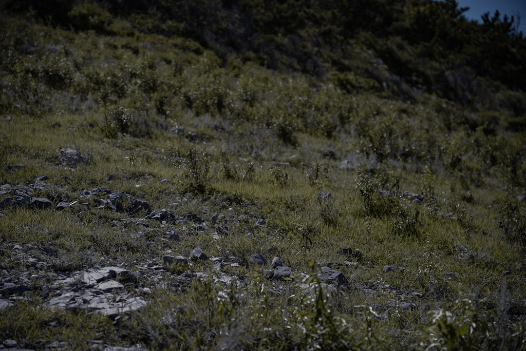 Arnold Schwarzenegger Teases 'King Conan' with Christopher McQuarrie, Plus 'Predator' and 'Commando' Returns