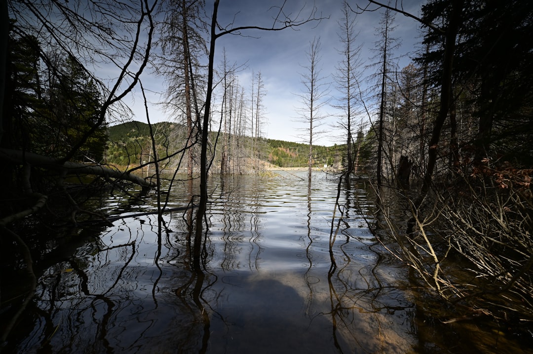 Global Survey Finds Environmental Protection Trumps Economic Growth for World's Citizens