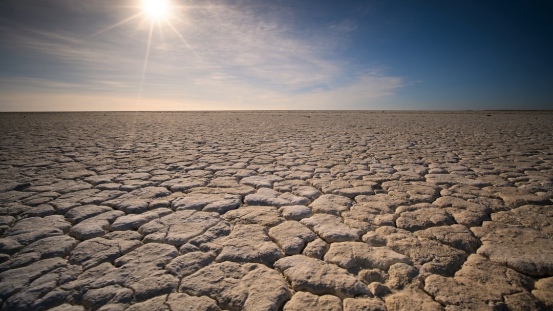 Chile's Datacenters Are Draining Wetlands Dry