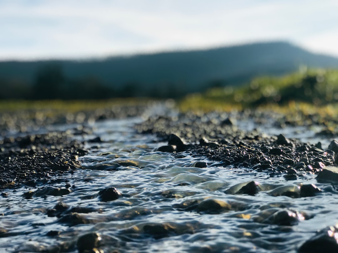 Hundreds of Dams Coming Down Worldwide as Rivers Return to Life