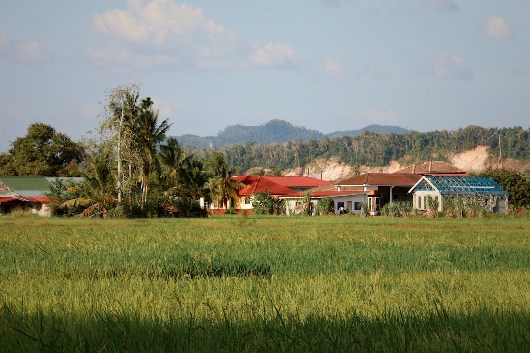Malaysia's Farmland Shrinks 48% Since 2017 as Data Center Boom Threatens Food Security