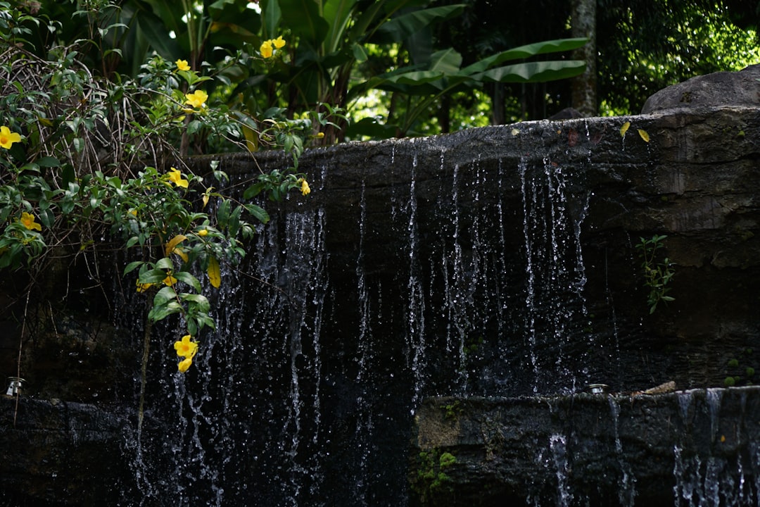 Malaysia Orders Water Conservation as Extreme Heat Grips Region