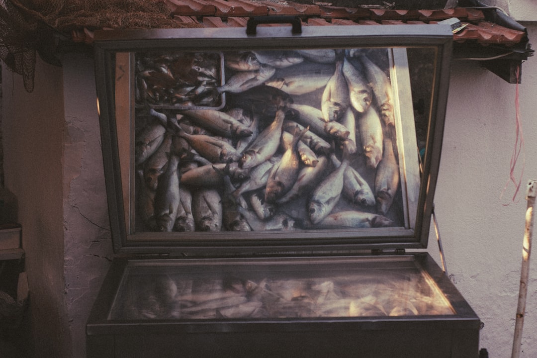 Poland Returns Jewish Artifacts to Greece, Stolen by Nazi Germany During Holocaust