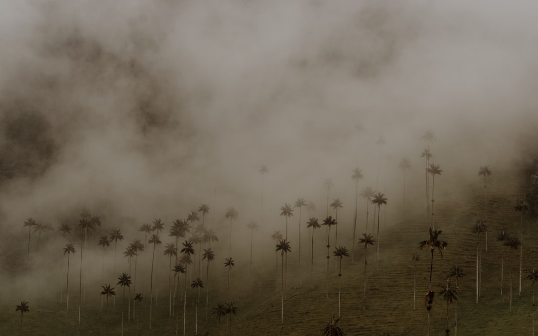 Colombia's Coffee Region Trip Report: What $7.50 ATM Fees and DCC Scams Really Cost Travelers