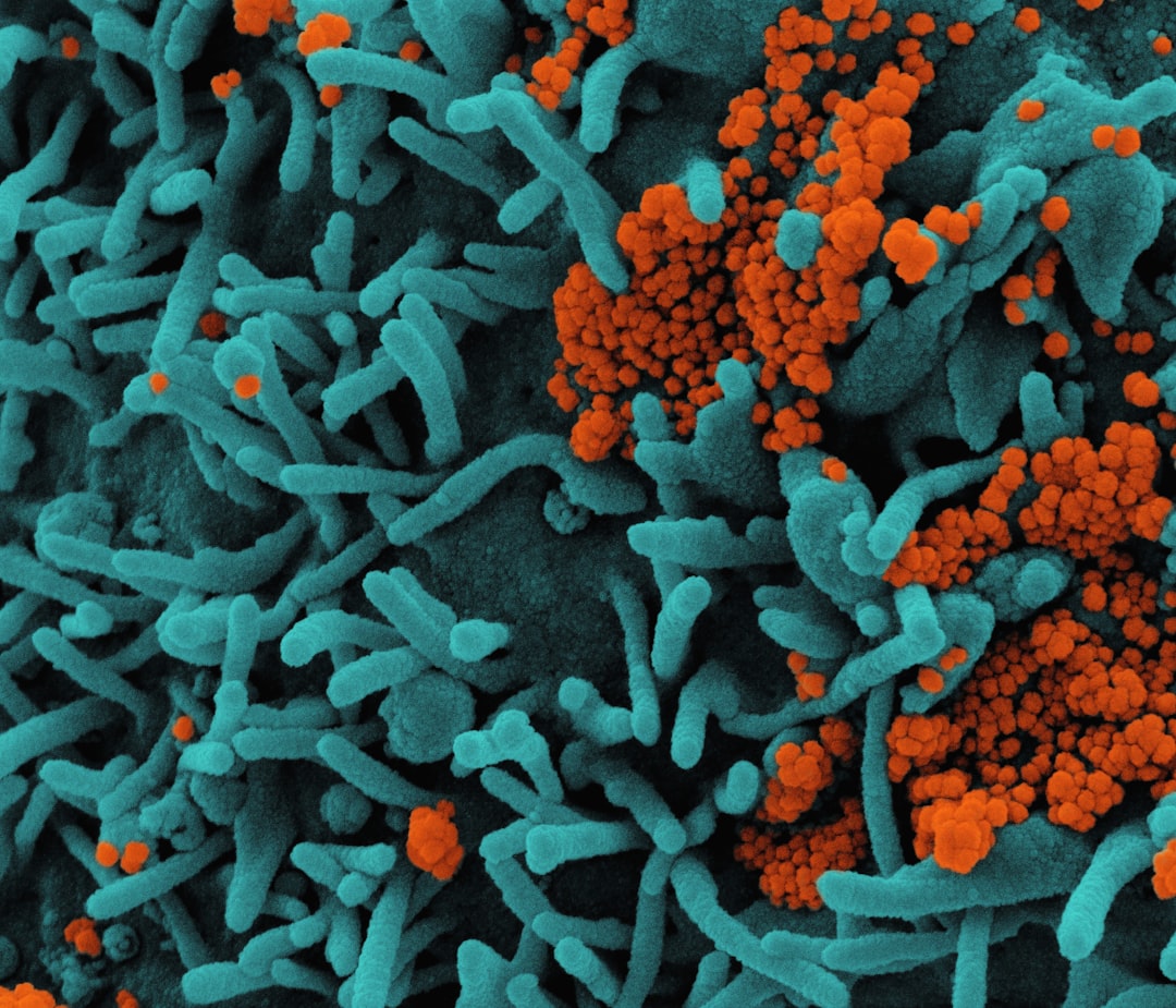 Climate Change Fuels Antibiotic-Resistant Salmonella, Study Warns