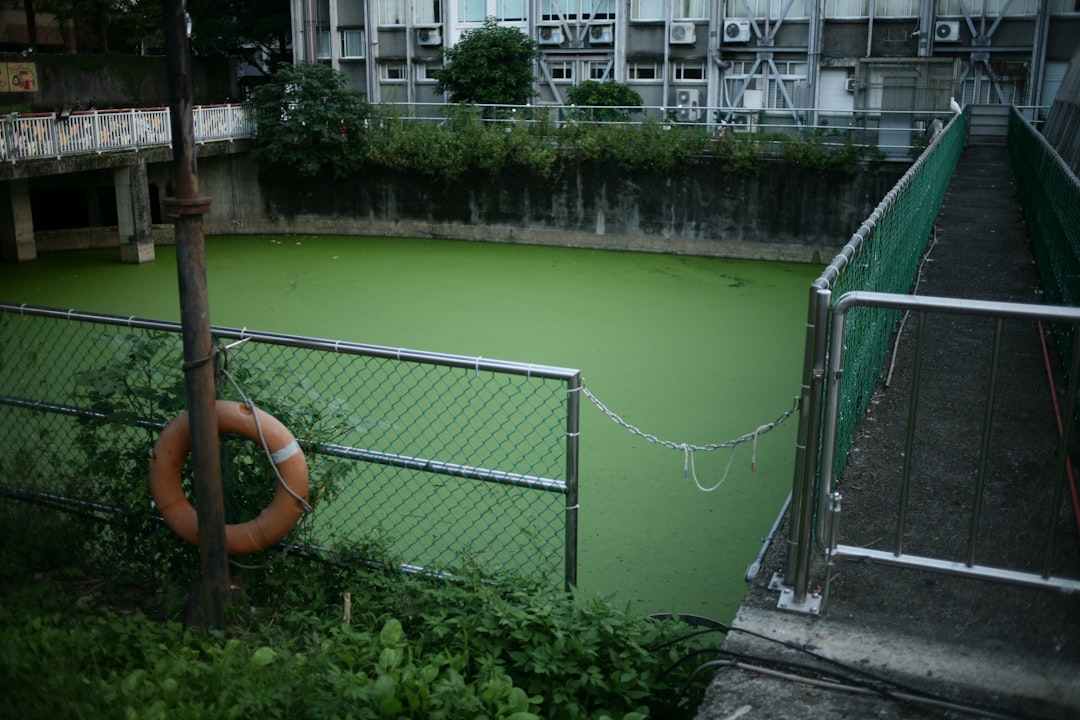Trump EPA Rollbacks Expose Americans to 'Dangerous Chemicals,' Former Staff Warn