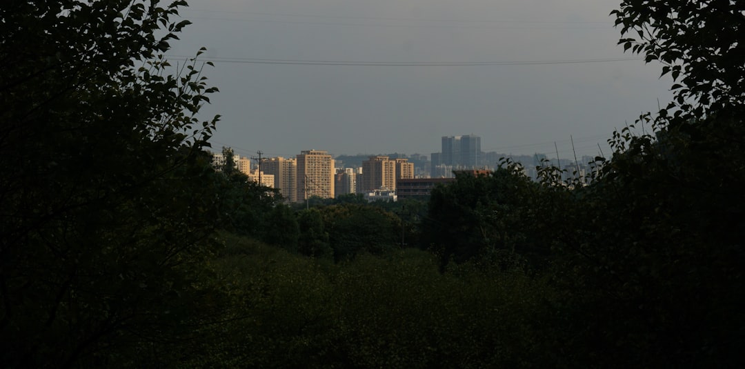 China's Real Estate Market Erases 20 Years of Gains in Historic Collapse