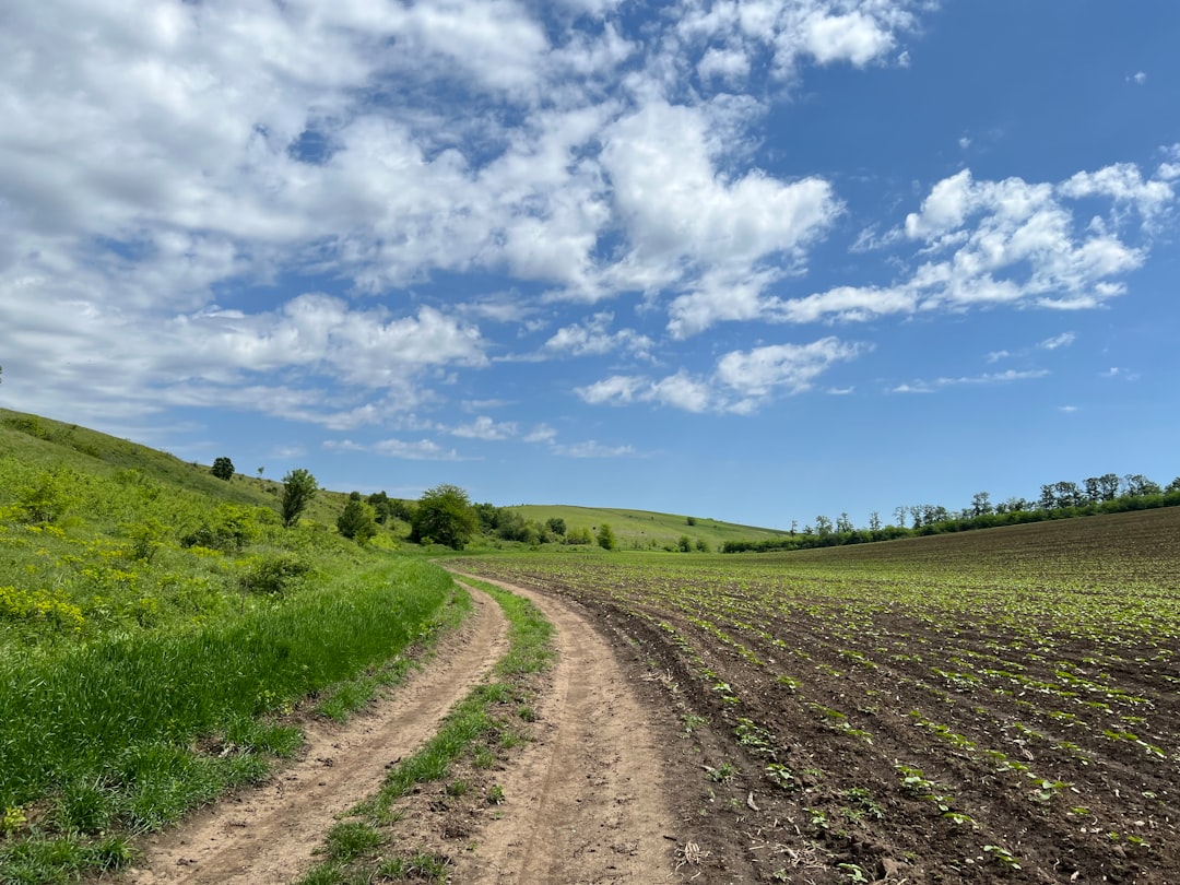 New Fiber-Optic Sensors Reveal How Industrial Farming Destroys Soil Structure, Threatening Food Security