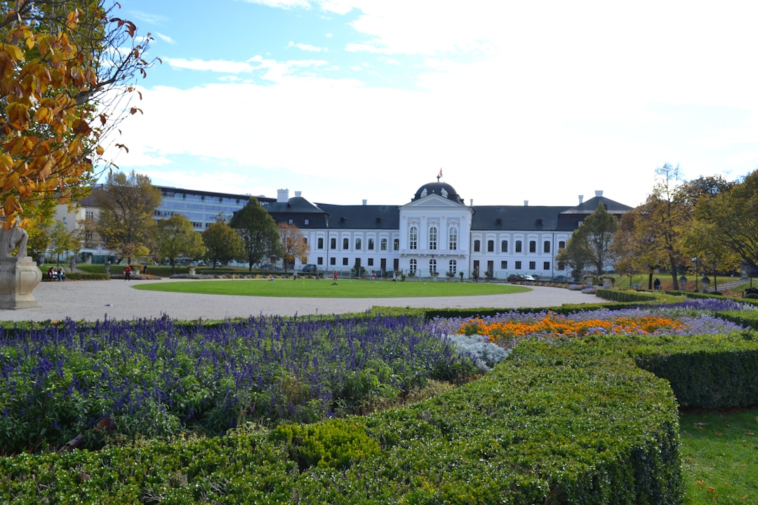 Slovak Police Launch Treason Investigation Into Prime Minister Fico
